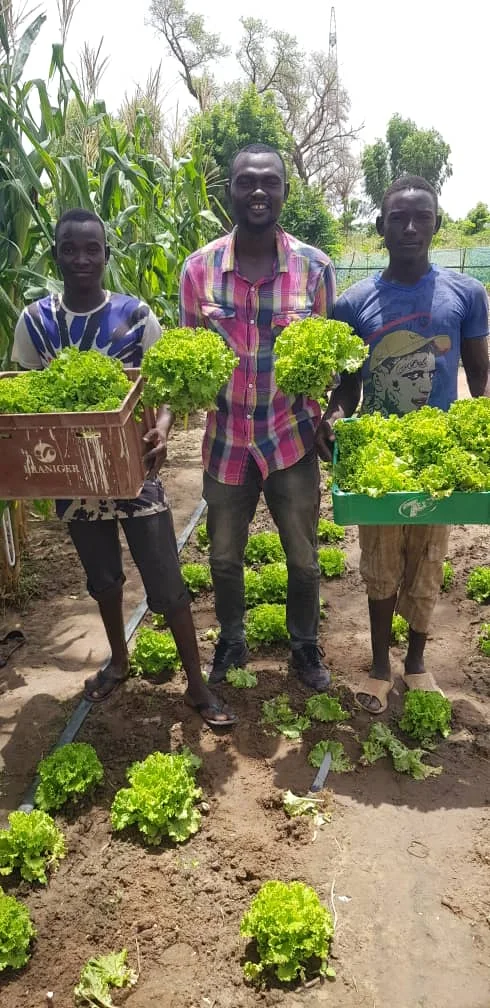Expérimentation de cultures sur la parcelle HortiHub Land