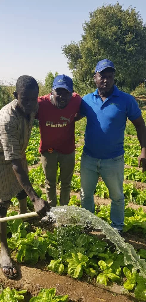 Gestion de l'eau sur HortiHub Land