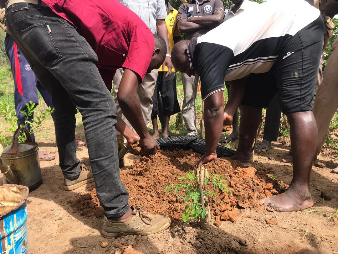 Travail collectif de la terre